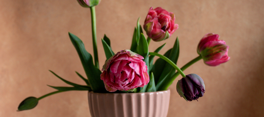 Campo del Sol Flowers - How to Care for your Flower Bouquet